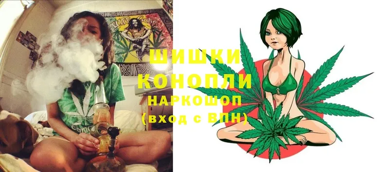 закладки  Александров  это формула  Конопля THC 21% 